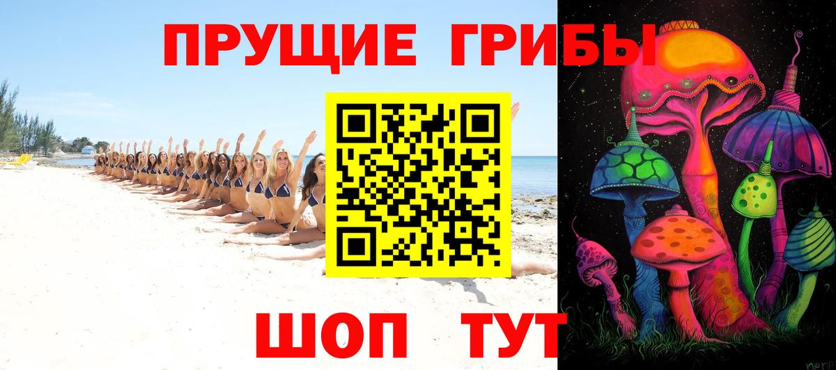 Галлюциногенные грибы GOLDEN TEACHER  Галлюциногенные грибы мицелий  Вход с VPN  Мытищи 
